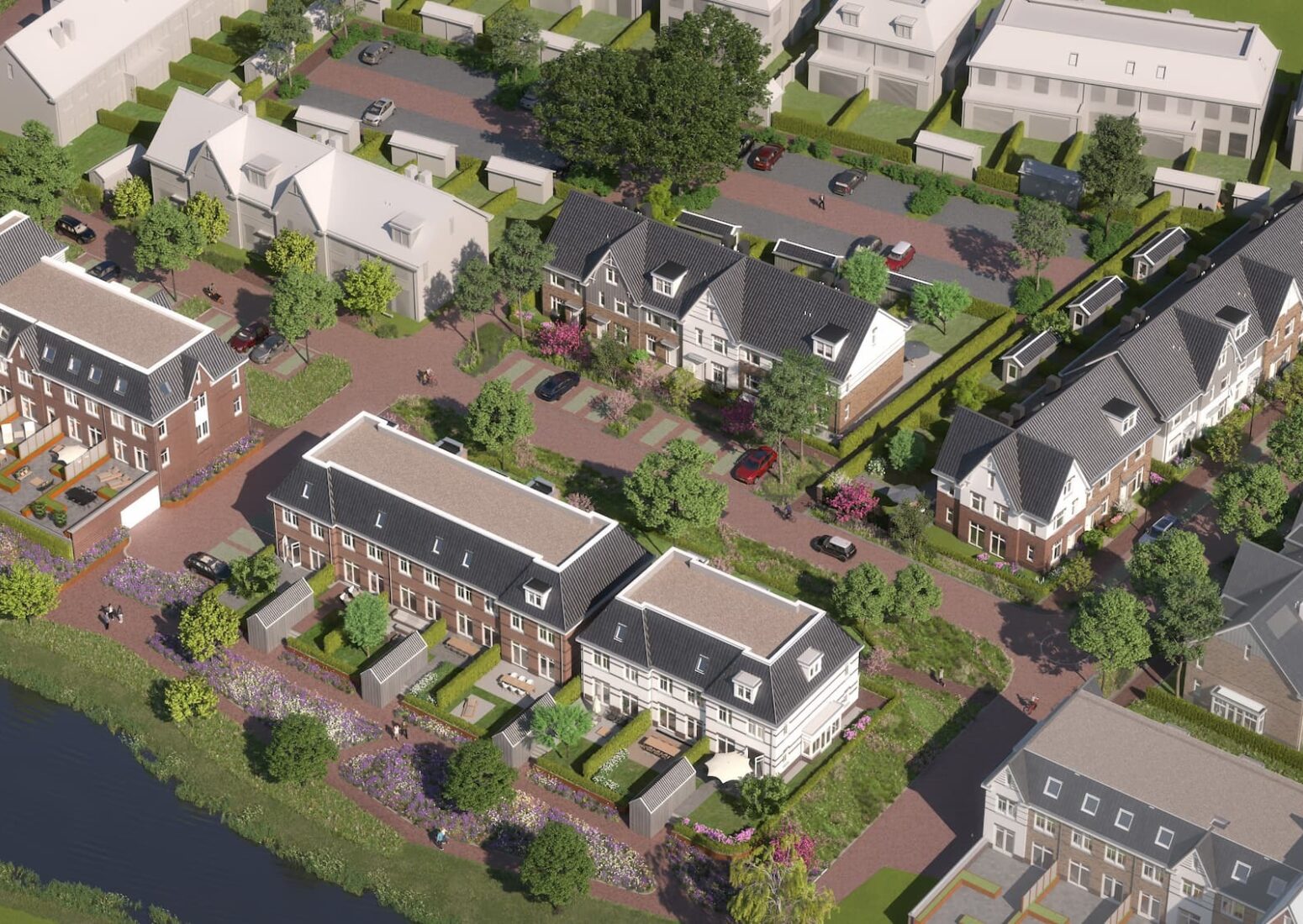 Waterjuffers vogelvlucht