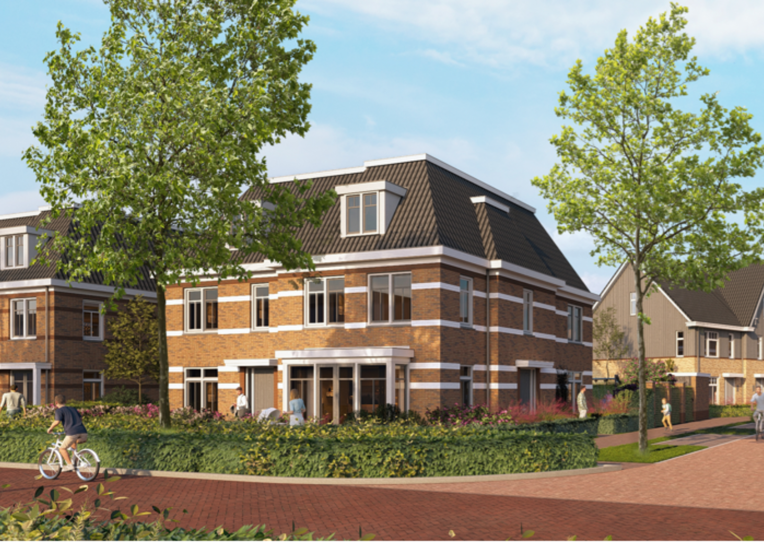 Waterjuffers Twee onder een kaphuizen