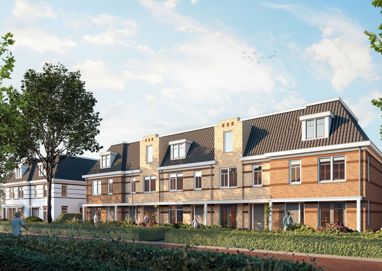 Waterjuffers Herenhuizen