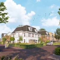 Waterjuffers Twee onder een kaphuizen 1