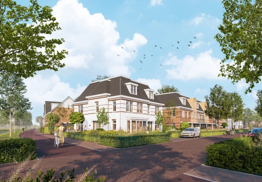 Waterjuffers Twee onder een kaphuizen 1