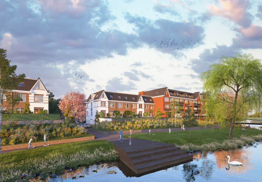 Parkhuizen waterjuffers
