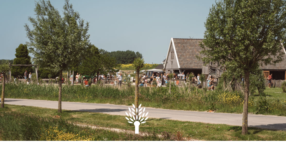 Header nieuwsbrief 1
