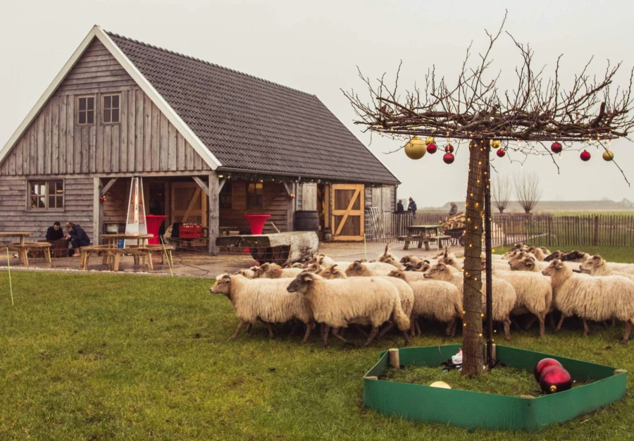 Wilgenrijk Kerststal Kerstmarkt