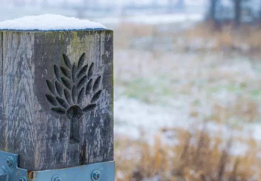 Winter In Wilgenrijk