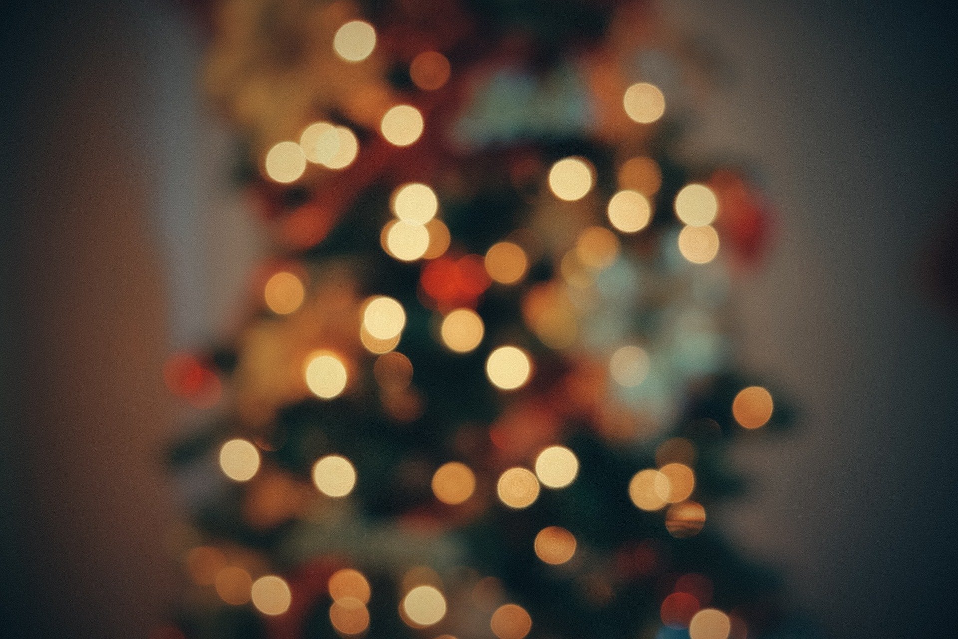 Christmas tree 2561872 1920