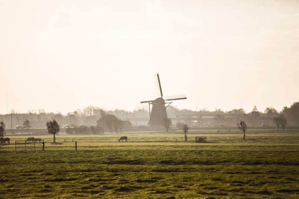 Wilgenrijk Sfeer